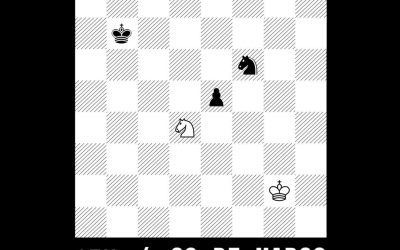 VII Torneio Preto no Branco