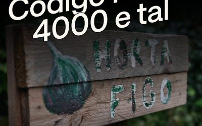 A colina verde das Musas – reportagem da portoagenda